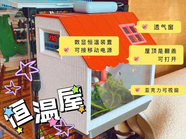 https://makerworld.bblmw.com/makerworld/model/US4ce62fc0d942a6/design/2025-12-17_e900120a936ca8.jpeg