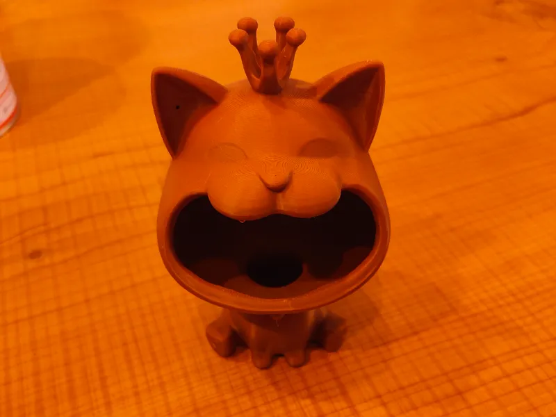 vide poche chat 