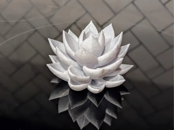https://makerworld.bblmw.com/makerworld/model/US4cf16dfa4bbddd/design/2025-01-14_34df45c0f00c8.jpg