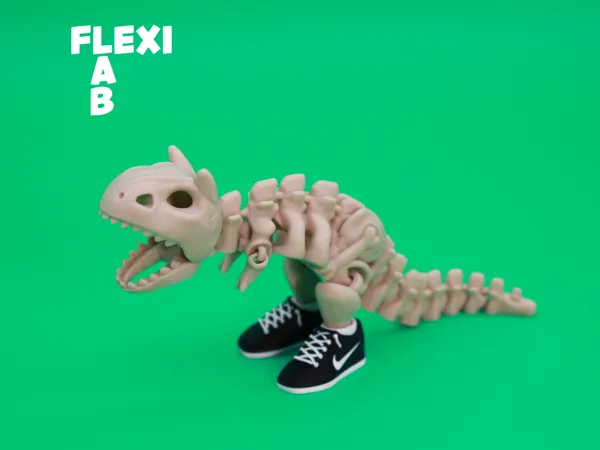 https://makerworld.bblmw.com/makerworld/model/US4cf337e0b93f80/design/2025-07-13_9e6d3ab98fb348.jpg
