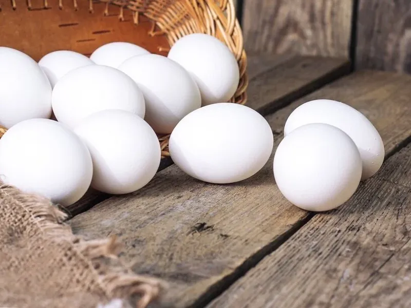 Just eggs