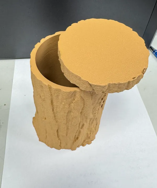 https://makerworld.bblmw.com/makerworld/model/US4cf9e7df5792d4/design/2024-10-02_153e217f252bd.jpg