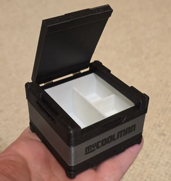 https://makerworld.bblmw.com/makerworld/model/US4cfa9ccb3d0ffd/design/2024-12-25_600f9b3512b99.jpg