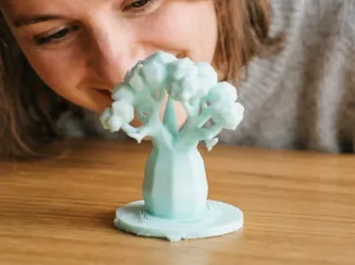 Baobab