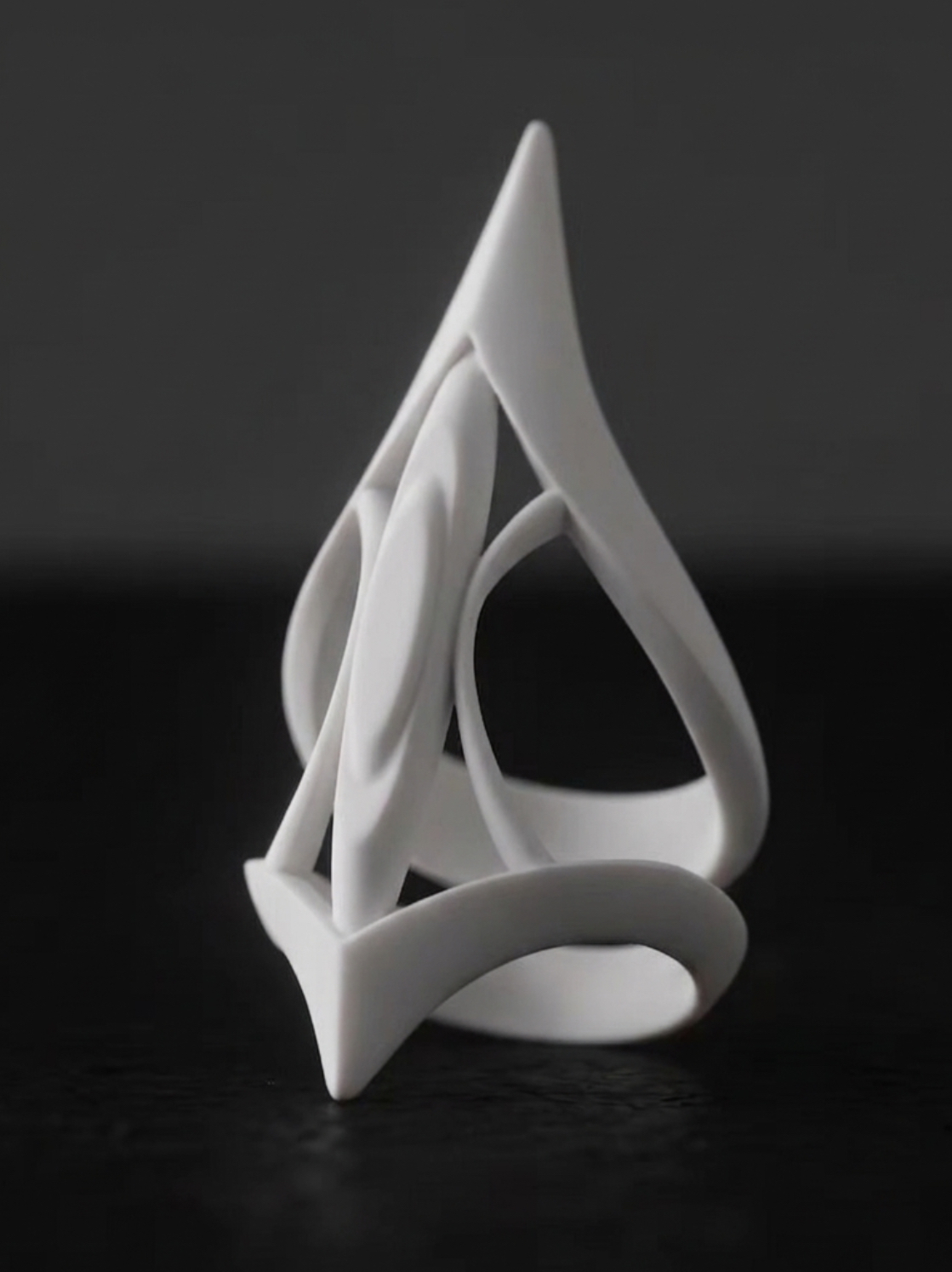 Miniatura 2 do modelo 3D Claw Armor Ring