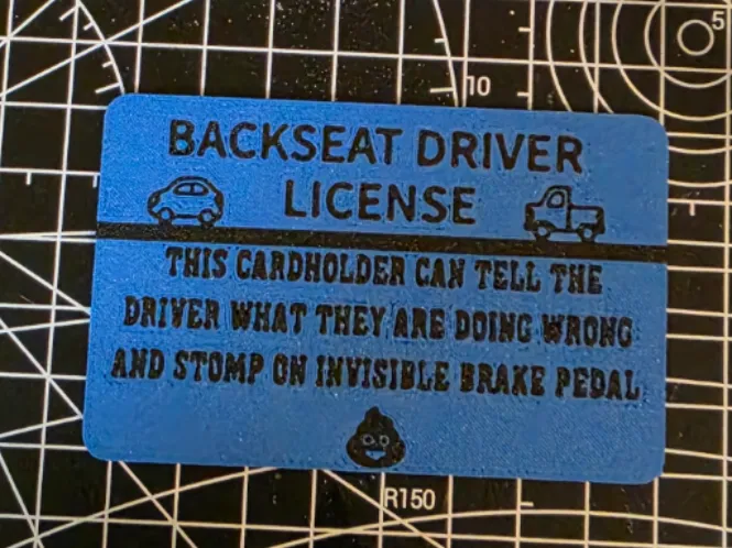 Backseat Driver License