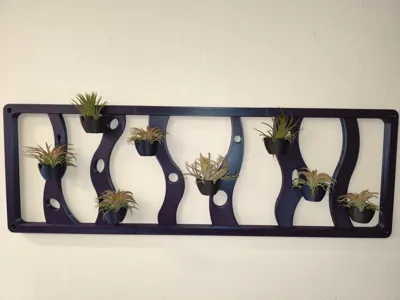 Tillandsia air plant wall holder and decoration