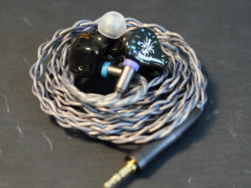 IEM 2 Pin Recessed Cable Cover Insert & Ear Marker