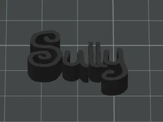 Sully name