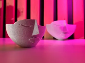 Minimalist girl face planter