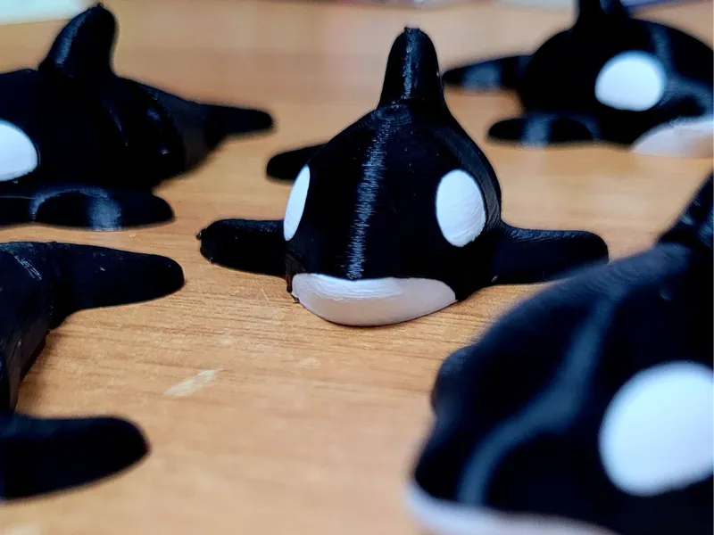 Orca articolata