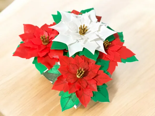 https://makerworld.bblmw.com/makerworld/model/US4d13f3716f2207/design/2025-12-08_9d1788c0c4ff.jpg