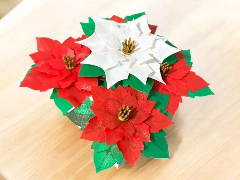Flor de noche buena (poinsettia)