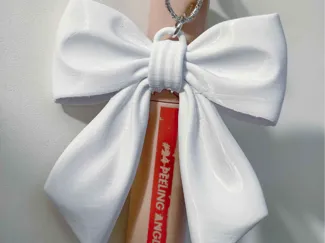 Ribbon Lip Case Keychain for rom&nd