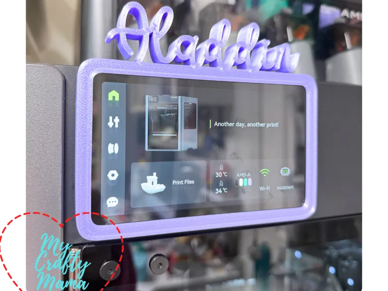 H2C Screen Covers Aladdin & Jasmine