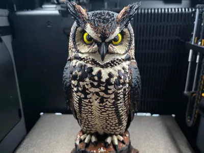The Watchful Owl (Recolored)