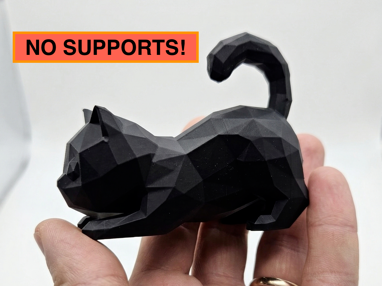 Low Poly Cute Cat (No Supports)