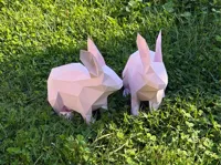 Lapin bas-poly minimaliste — photo 2