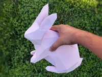 Lapin bas-poly minimaliste — photo 4