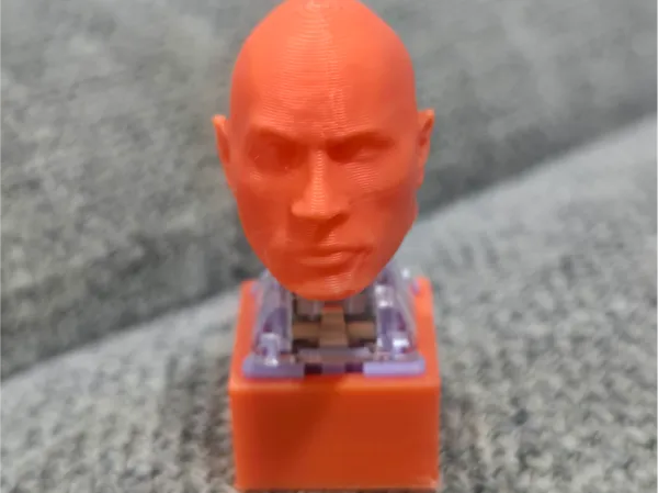 https://makerworld.bblmw.com/makerworld/model/US4d1b5686210991/design/2025-06-16_424dc9b4dfa788.jpg