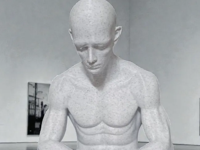 Human Reflection