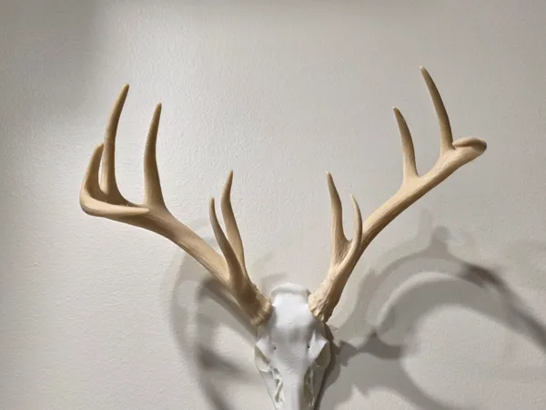 https://makerworld.bblmw.com/makerworld/model/US4d201e5c93af89/design/d4765f43670f01fe.jpg