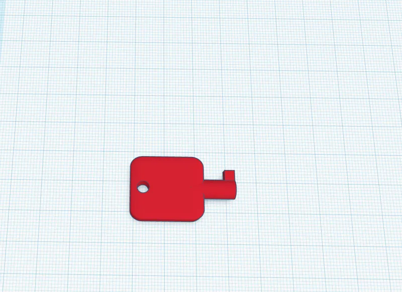 Toilet Roll Dispenser Key