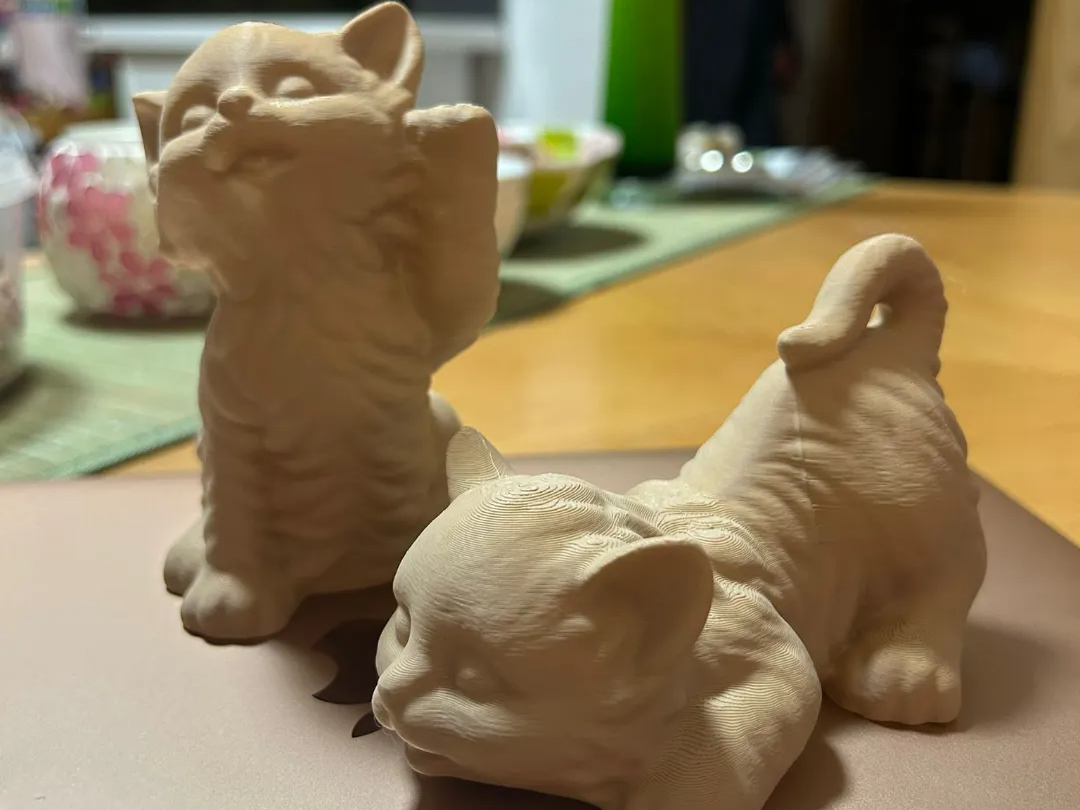 Niedliches Katzenpaar