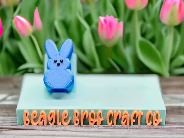 https://makerworld.bblmw.com/makerworld/model/US4d3826b18be127/design/2025-03-14_dbb85427aef1d8.jpg