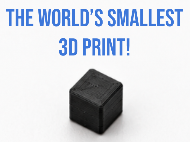 The Worlds Smallest 3D Print!