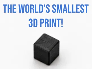 The Worlds Smallest 3D Print!