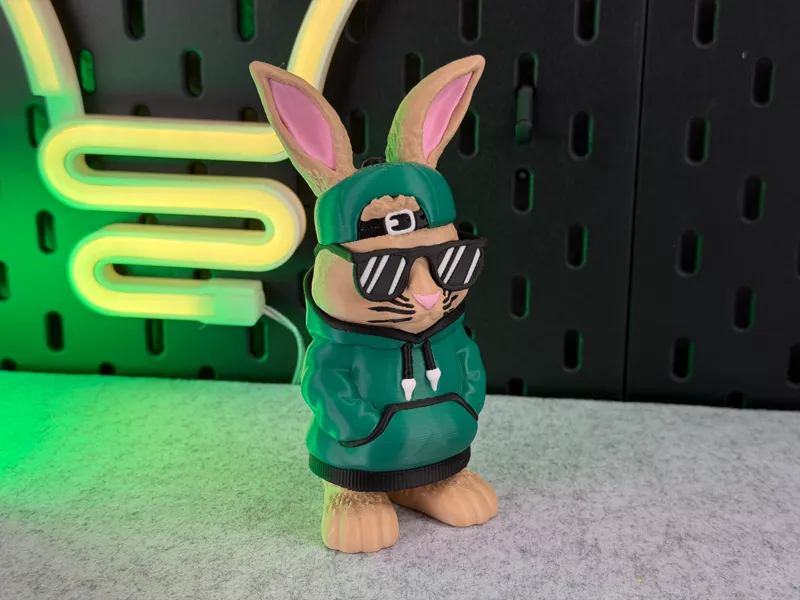Cool Bunny