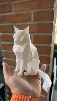 0.16mm layer, 2 walls, 15% infill