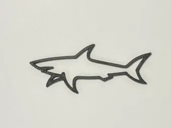 Paul and Sharks Keyring