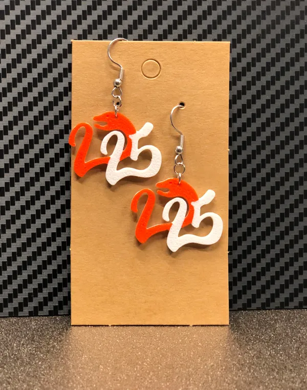 https://makerworld.bblmw.com/makerworld/model/US4d40f0763a465f/design/2024-12-28_583a780278f46.jpg
