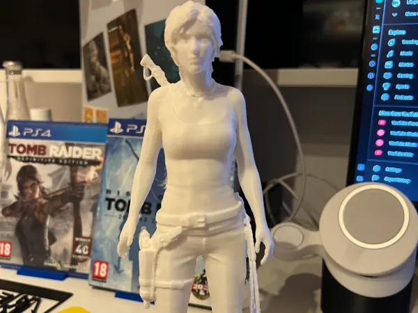 https://makerworld.bblmw.com/makerworld/model/US4d415073b91a01/design/2024-11-17_fca286eba1601.jpg