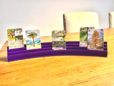 Curved Card Holder – Wide, 3 Rows