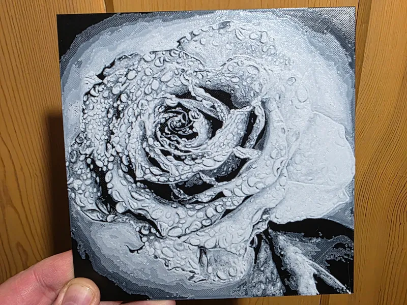 Van Ert Rose Painting Black/Whtie Hueforge Wallart