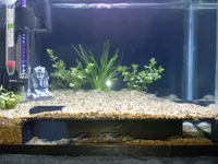 Grotte pour aquarium — photo 3