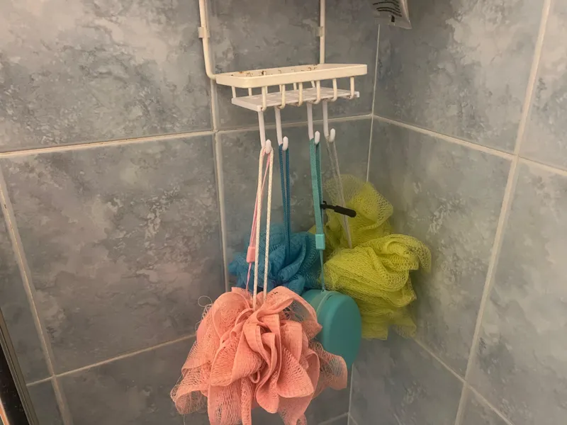 Sponge Hook