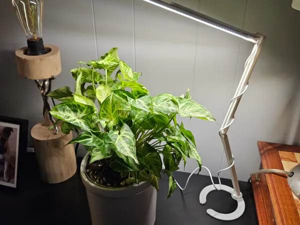 https://makerworld.bblmw.com/makerworld/model/US4d51e53b908ffb/design/2025-11-12_ad3ce14a374ea.jpg