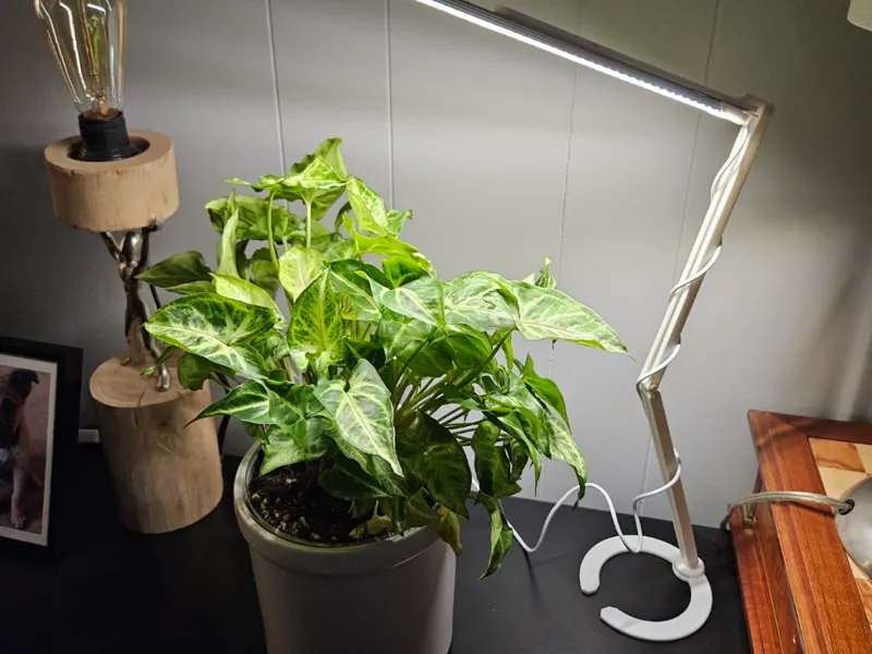 LED light articulating arm stand
