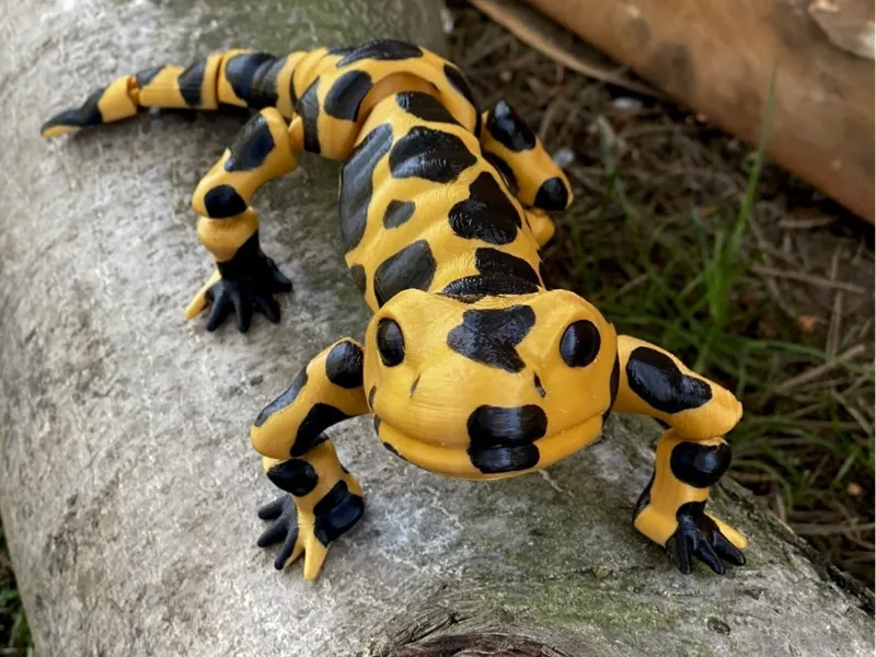 Movable figure of the salmander toy