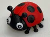 Fun Little Ladybug