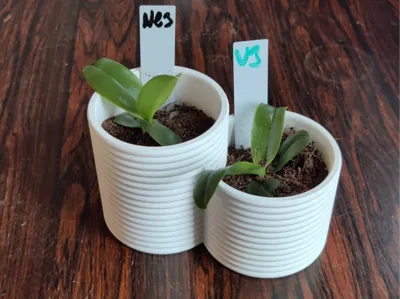 Simple Plant Pot - 2 Plants