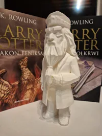 Dumbledore — photo 5