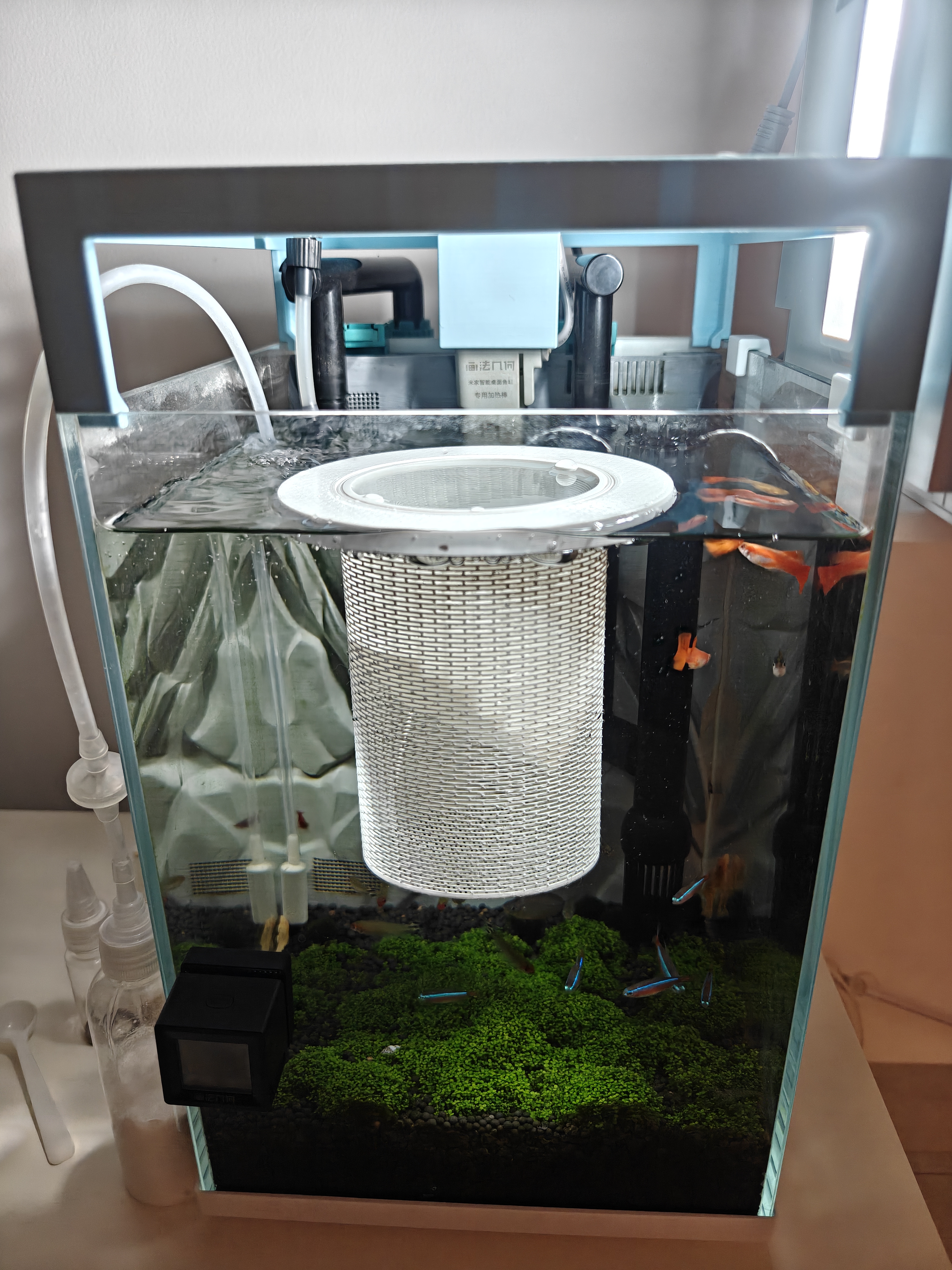 Miniatura 1 do modelo 3D 鱼缸 漂浮 隔离屋 孔雀鱼繁殖器 无需支撑