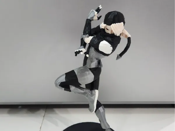 https://makerworld.bblmw.com/makerworld/model/US4d6374413fafbf/design/2025-12-17_9239347e06624.jpg