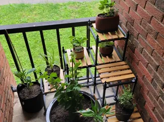 Corner Plant Stand