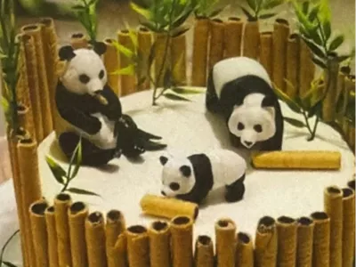 Panda Bear Family